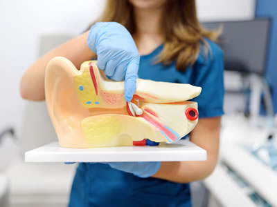 content carousel - Education